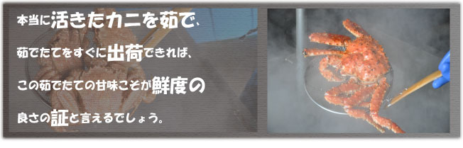 本当に活きたカニを茹で、茹でたてをすぐに出荷できれば、この茹でたての甘味こそが鮮度の良さの証と言えるでしょう。