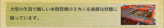 大型の生簀で厳しい水質管理の下カニを新鮮な状態に
保っています。