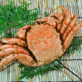�ӥ���